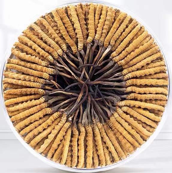 向阳街道冬虫夏草回收